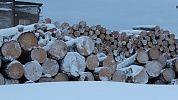Оцилиндрованное бревно. 1 шаг