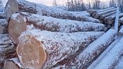Ручная рубка. 1 шаг
