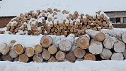 Оцилиндрованное бревно. 1 шаг